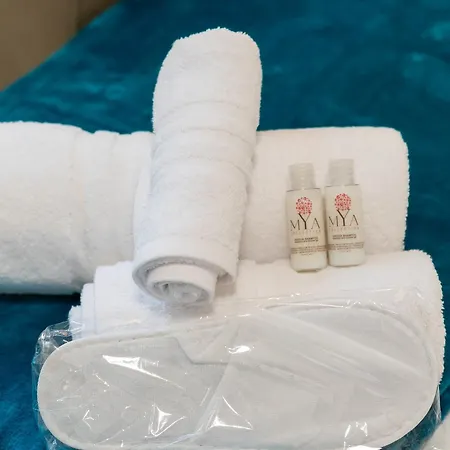 Alba Vatican Apartment *